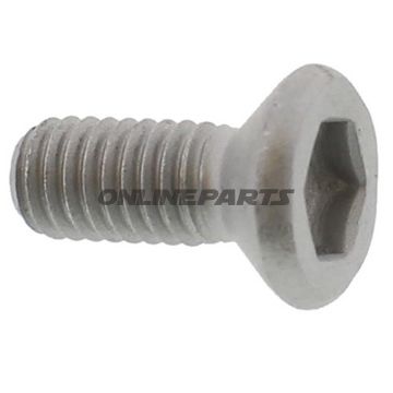 Bremseskiveboltm6x1.0X11mm