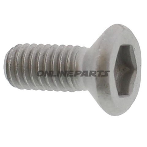 Bremseskiveboltm6x1.0X11mm