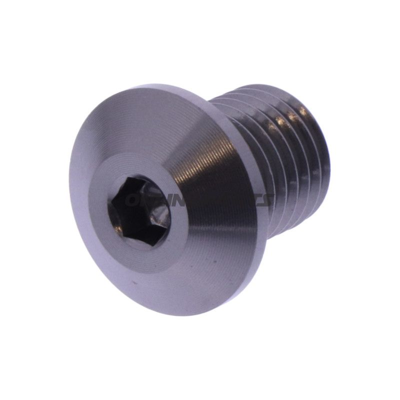 BLANKING STIK SPEJL GEVIND DAYTONA M10X1.25MM 11MM TITAN HØJRE