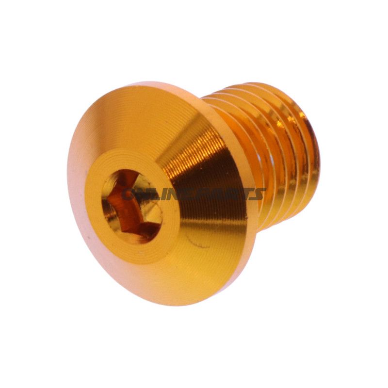 BLANKING PLUG SPEJL GEVIND DAYTONA M10X1.25MM 11MM GULD VENSTRE