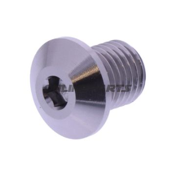 BLANKING PLUG SPEJL GEVIND DAYTONA M10X1.25MM 11MM TITAN VENSTRE