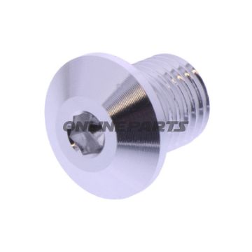 BLANKING PLUG SPEJL GEVIND DAYTONA M10X1.25MM 11MM SØLV HØJRE