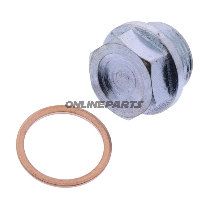 Ol udluftningsskrue ID med tætningsring