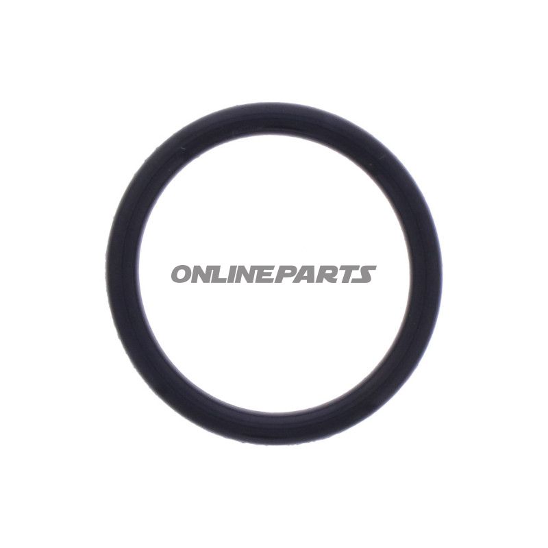 O-Ring Originalersatzteil