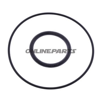 O-RING KIT ALTN 7344636