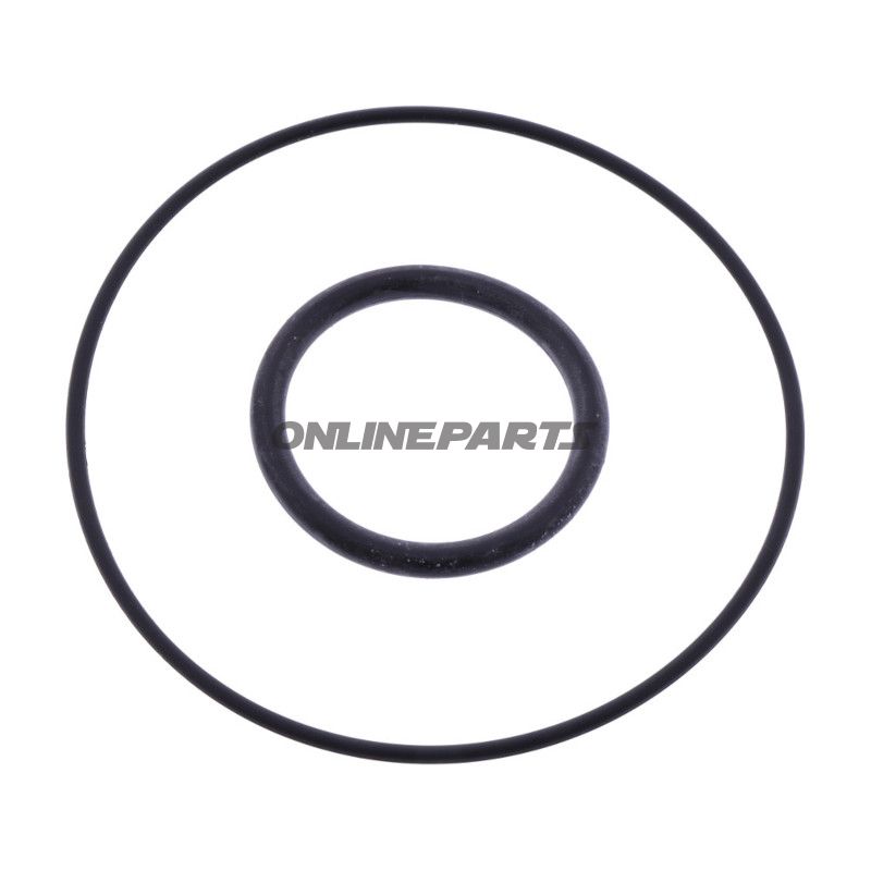 O-RING KIT ALTN 7344636