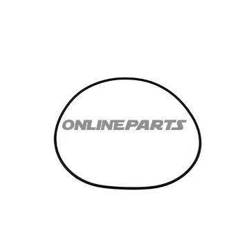 O-Ring138x2.62 Mm