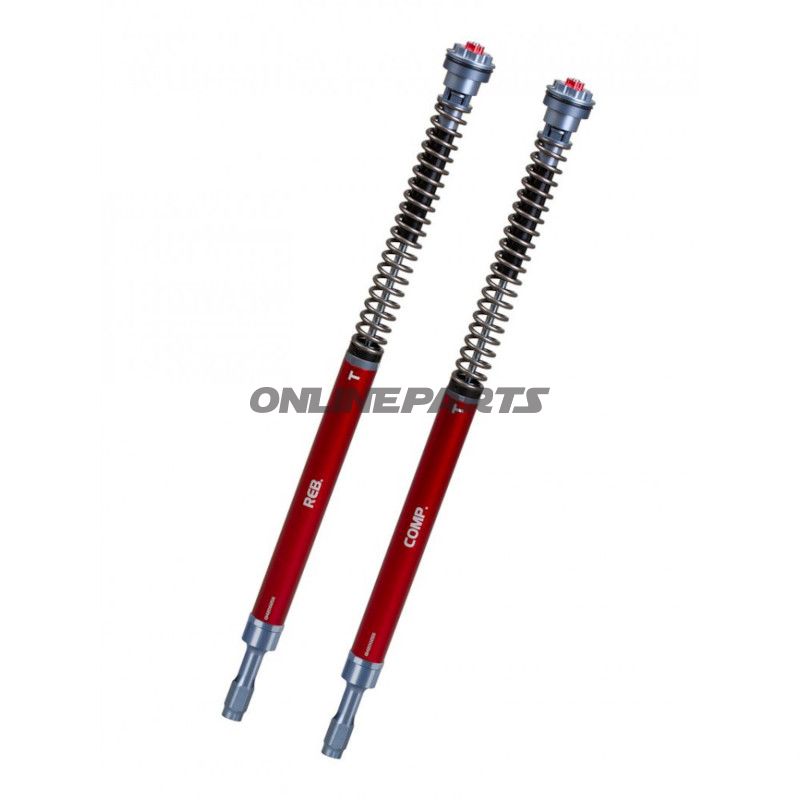 Cartridge kit fork YSS on road Z5