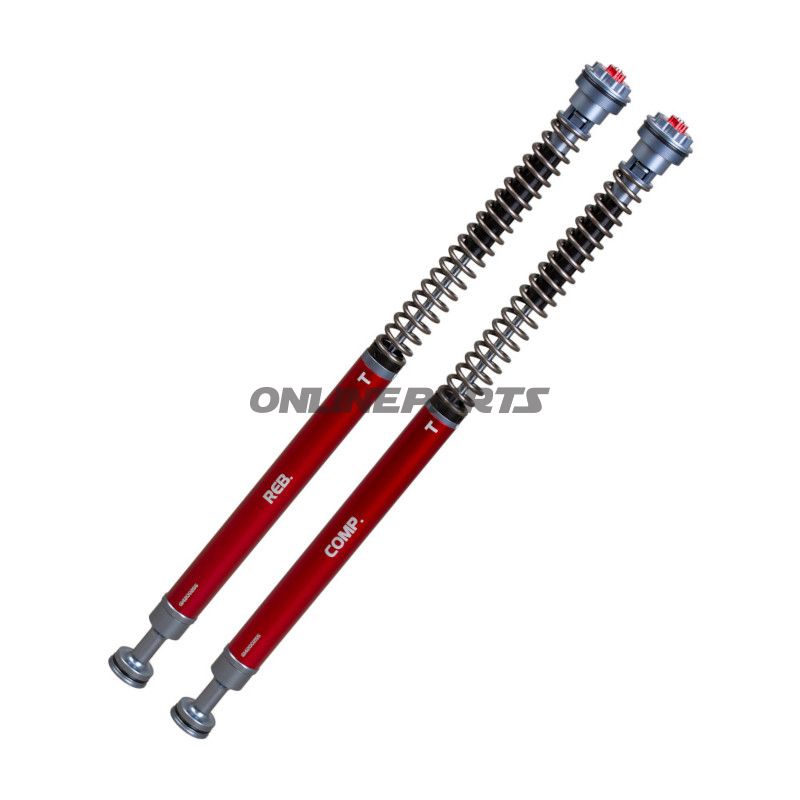 Cartridge kit fork YSS on road Z4