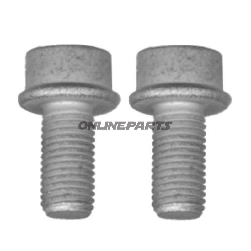 Skruer STZ F BR SADD indhold 2 stk.