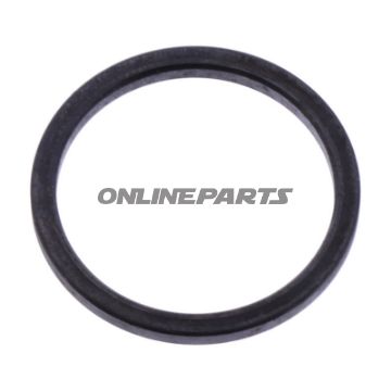 VARIATOR RING 21X25X2MM