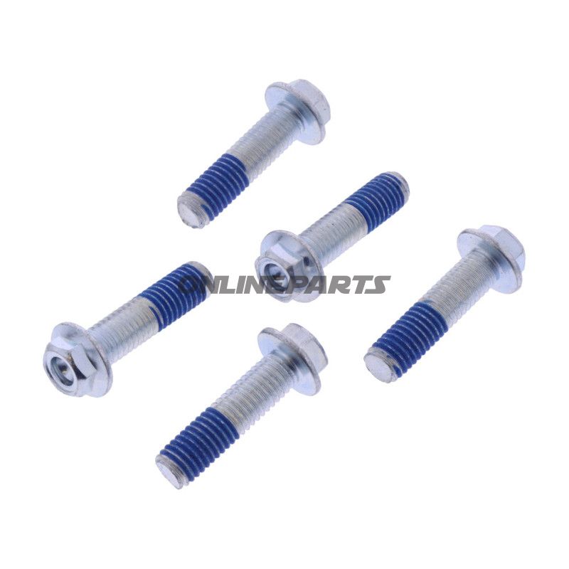 BREMSESKIVESKRUESÆT EBC 5 DELE