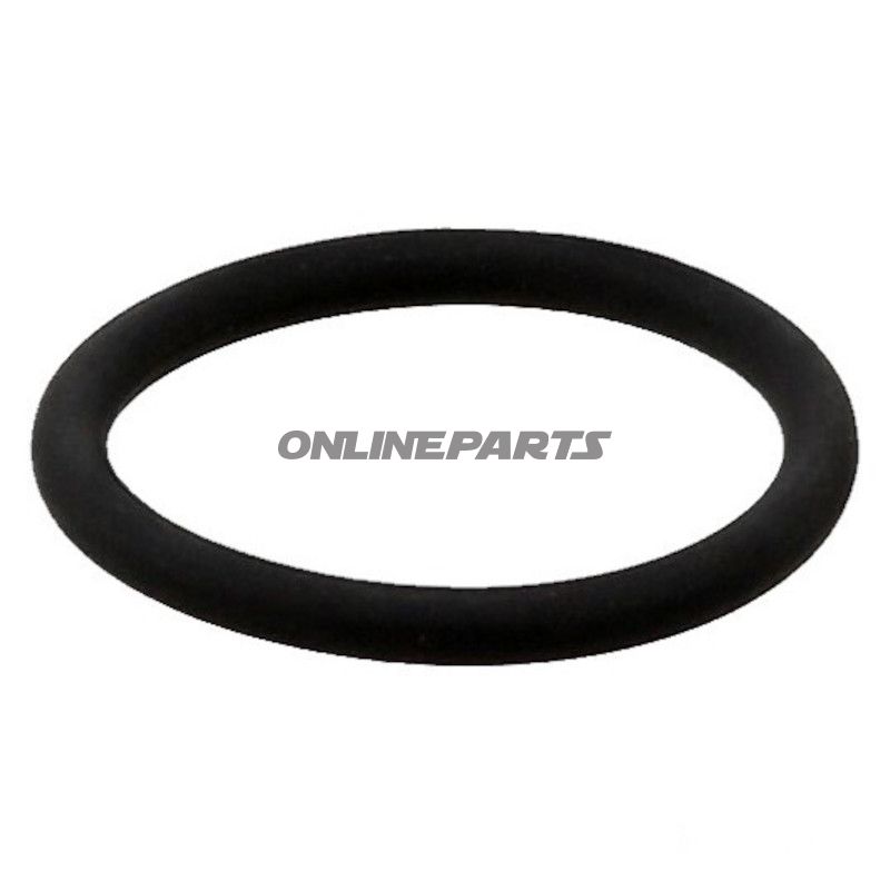 DICHT AGR-VENTIL LEIT ID O-RING 24.6X3.6