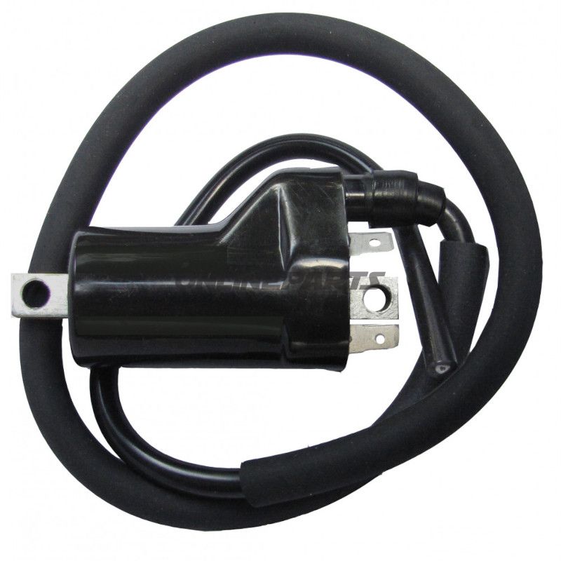 TÆNDSPOLE 12V ALTN 7001524