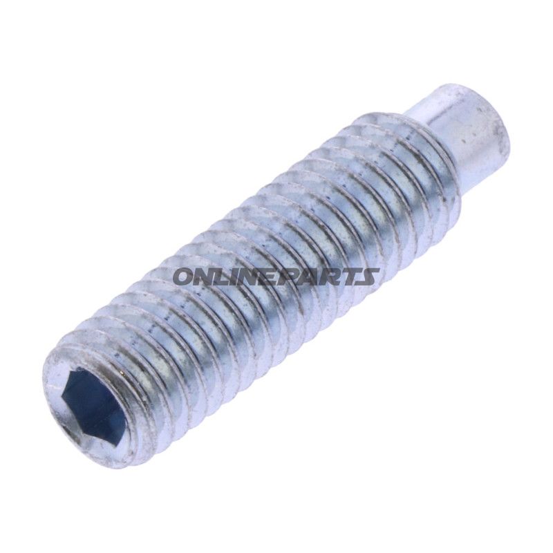 LÅSESKRUE M8X30 TIL ROTATIONSCYLINDERBOLTE.