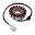 Generator Stator JMP Alternativ: 7001701