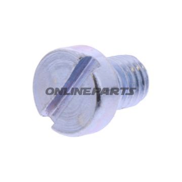 SCHR OELABLASS OE M8X1.25X10MM