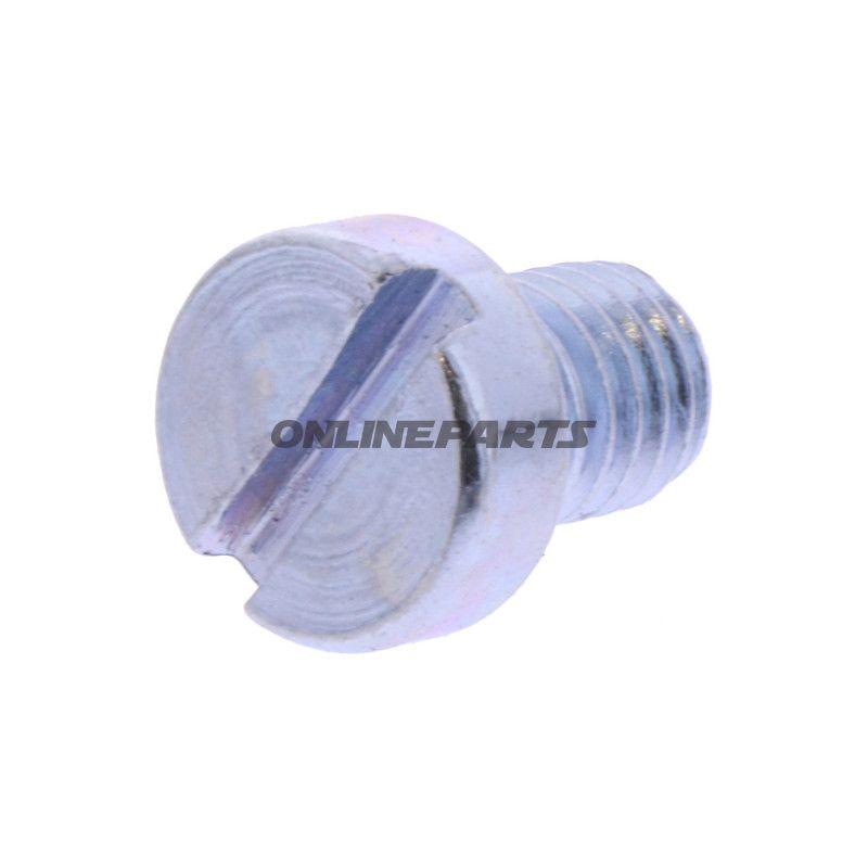 SCHR OELABLASS OE M8X1.25X10MM