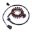 Generator Stator Tourmax