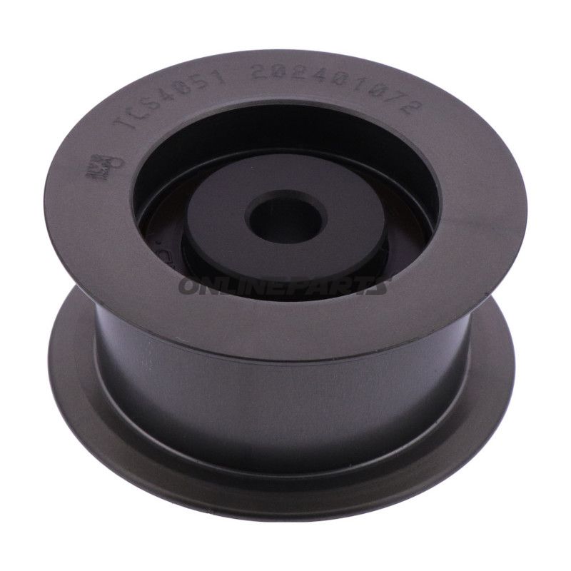 Spannrolle Dayco fest Alternativ: 7562948