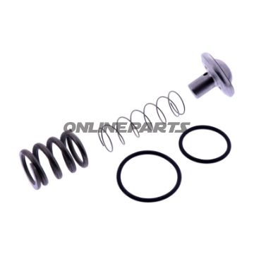 VEDLIGEHOLDELSESSÆT TERMOVENTIL Blitz ECO 204951-A