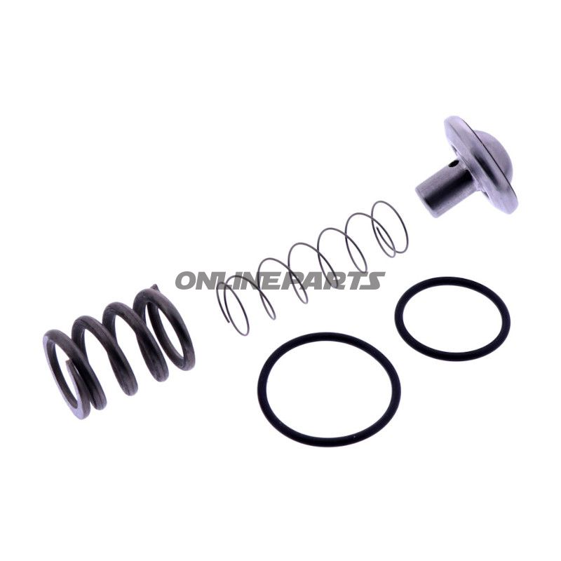 VEDLIGEHOLDELSESSÆT TERMOVENTIL Blitz ECO 204951-A