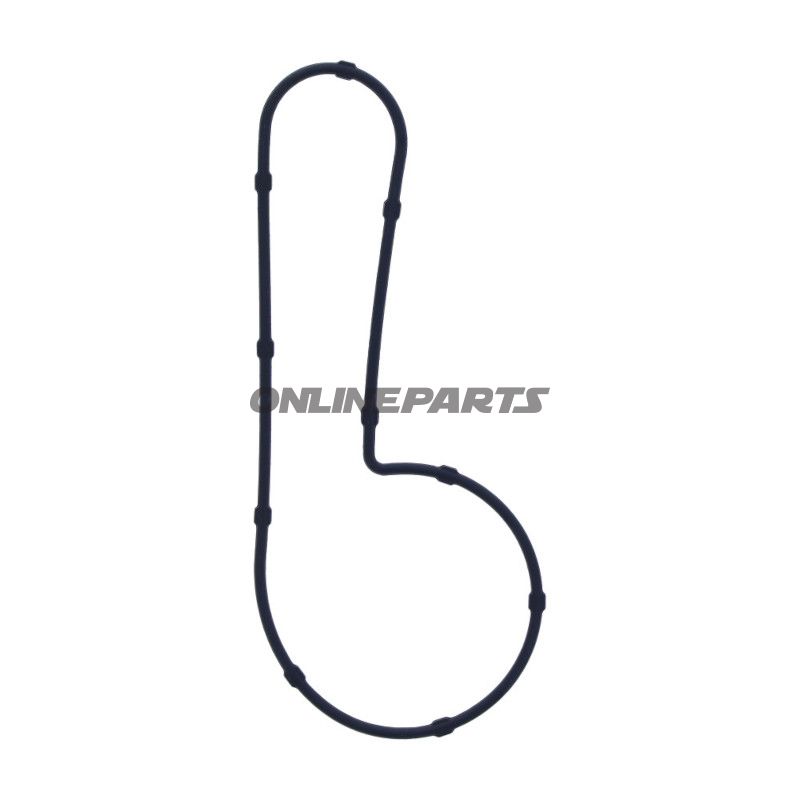 Pakning Vandpumpedæksel Ægte reservedel