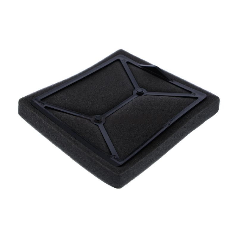 Luftfilter Ægte Reservedel