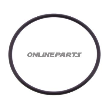 O-Ring 2.5X54MM JMP Alternative: 7341742