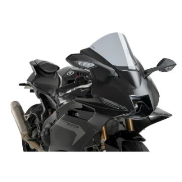 Scheibe R-Racing Puig rauchgrau