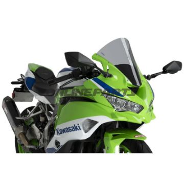Scheibe R-Racing Puig rauchgrau